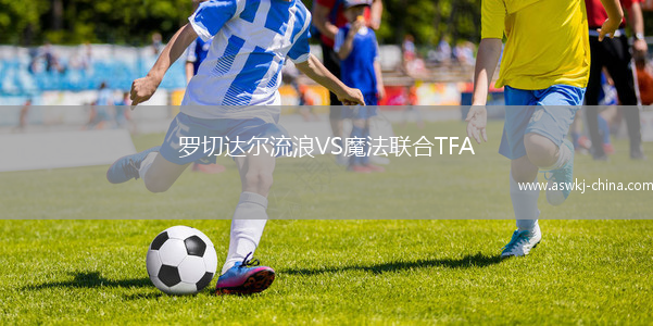 罗切达尔流浪VS魔法联合TFA