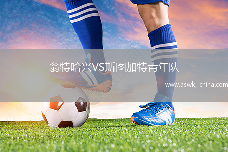翁特哈兴VS斯图加特青年队