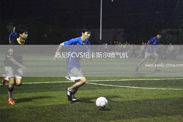 悉尼FCVS纽卡斯尔喷气机
