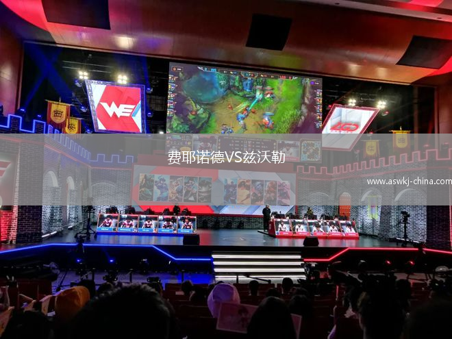 费耶诺德VS兹沃勒